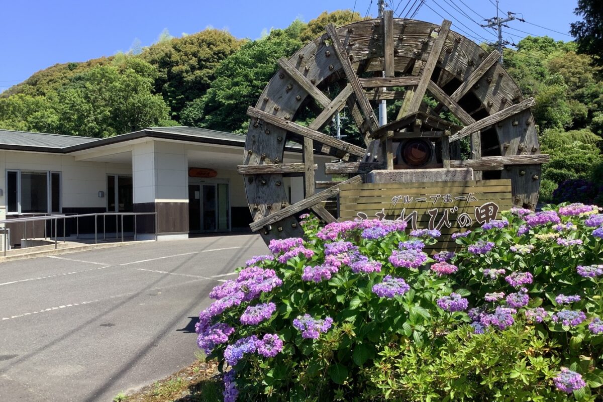 こもれびの里玄関前の紫陽花